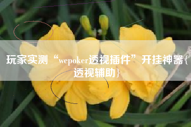 玩家实测“wepoker透视插件”开挂神器{透视辅助}