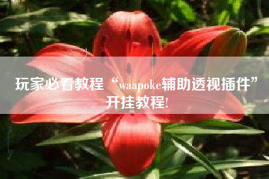 玩家必看教程“waapoke辅助透视插件”开挂教程!