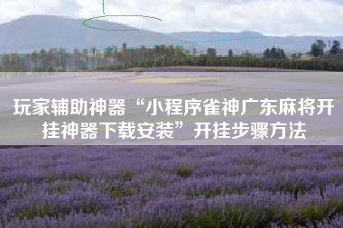 玩家辅助神器“小程序雀神广东麻将开挂神器下载安装”开挂步骤方法