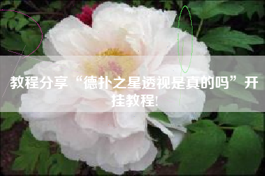 教程分享“德扑之星透视是真的吗	”开挂教程!