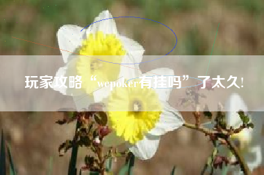 玩家攻略“wepoker有挂吗”了太久!