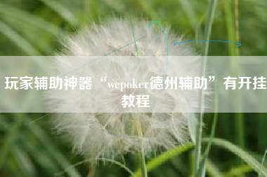 玩家辅助神器“wepoker德州辅助”有开挂教程