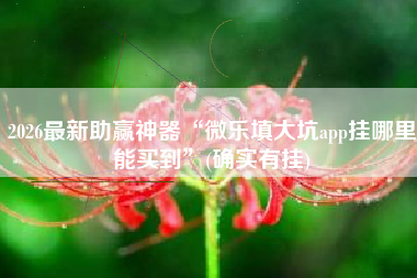 2026最新助赢神器“微乐填大坑app挂哪里能买到”(确实有挂)