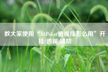 教大家使用“AAPoker透视挂怎么用”开挂(透视)辅助