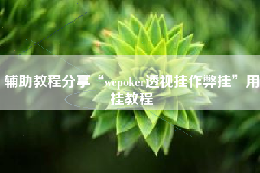 辅助教程分享“wepoker透视挂作弊挂”用挂教程