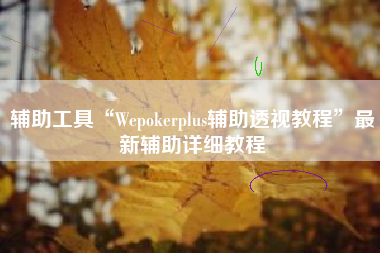 辅助工具“Wepokerplus辅助透视教程	”最新辅助详细教程