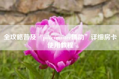 全攻略普及“pokermaster辅助”详细房卡使用教程