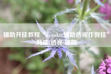 辅助开挂教程“wepoker辅助透视作弊挂”开挂(透视)辅助