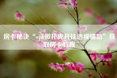 房卡秘诀“wpk微扑克开挂透视辅助”获取房卡教程