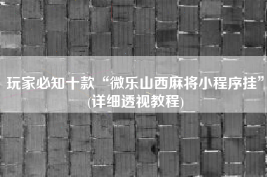 玩家必知十款“微乐山西麻将小程序挂	”(详细透视教程)