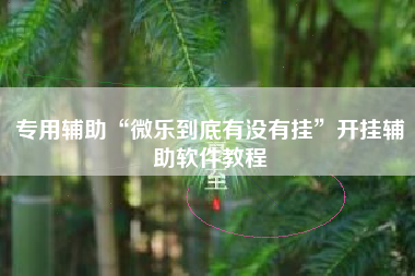 专用辅助“微乐到底有没有挂”开挂辅助软件教程