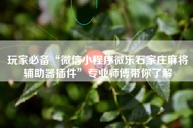 玩家必备“微信小程序微乐石家庄麻将辅助器插件	”专业师傅带你了解