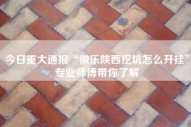 今日重大通报“微乐陕西挖坑怎么开挂”专业师傅带你了解