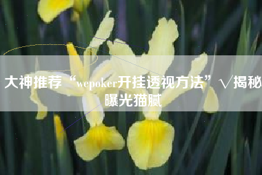 大神推荐“wepoker开挂透视方法”√揭秘曝光猫腻