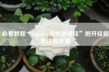 必看教程“hhpoker德州透视挂	”附开挂脚本详细步骤