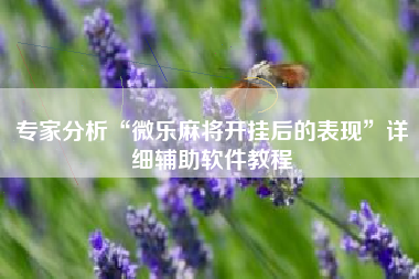 专家分析“微乐麻将开挂后的表现	”详细辅助软件教程