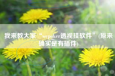 我来教大家“wepoker透视挂软件”(原来确实是有插件)