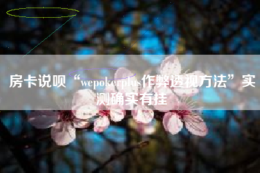房卡说呗“wepokerplus作弊透视方法”实测确实有挂