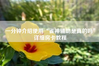 一分钟介绍使用“雀神辅助是真的吗	”详细房卡教程