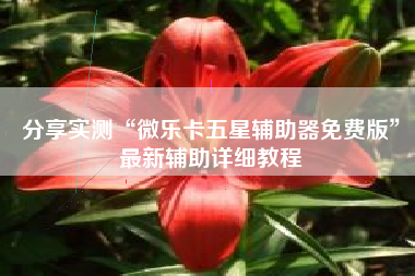 分享实测“微乐卡五星辅助器免费版”最新辅助详细教程