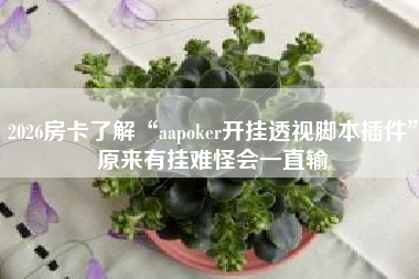 2026房卡了解“aapoker开挂透视脚本插件	”原来有挂难怪会一直输