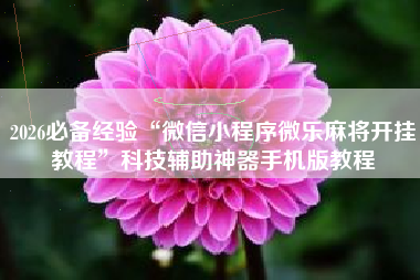 2026必备经验“微信小程序微乐麻将开挂教程	”科技辅助神器手机版教程