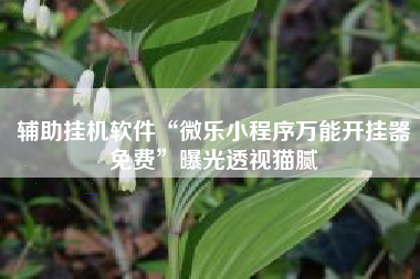 辅助挂机软件“微乐小程序万能开挂器免费	”曝光透视猫腻