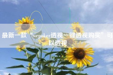 最新一款“wepoker透视一键透视购买”可以透视