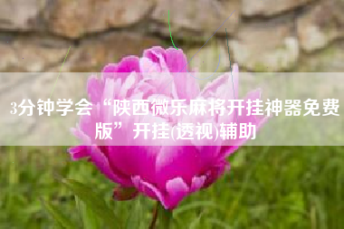 3分钟学会“陕西微乐麻将开挂神器免费版”开挂(透视)辅助