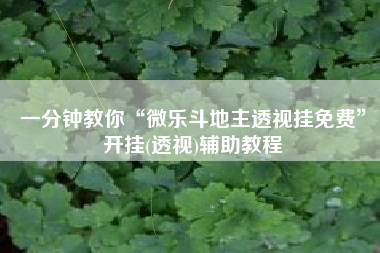 一分钟教你“微乐斗地主透视挂免费”开挂(透视)辅助教程