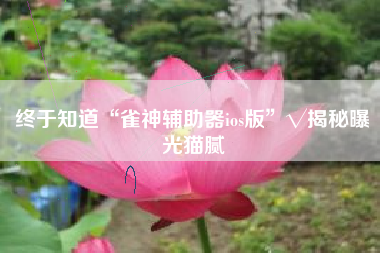 终于知道“雀神辅助器ios版	”√揭秘曝光猫腻