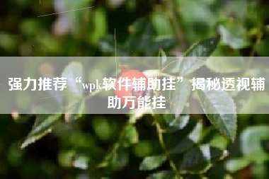 强力推荐“wpk软件辅助挂”揭秘透视辅助万能挂