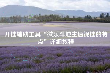 开挂辅助工具“微乐斗地主透视挂的特点”详细教程