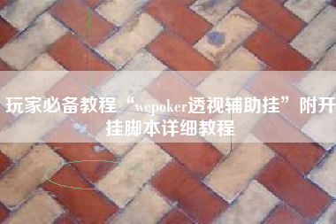 玩家必备教程“wepoker透视辅助挂”附开挂脚本详细教程