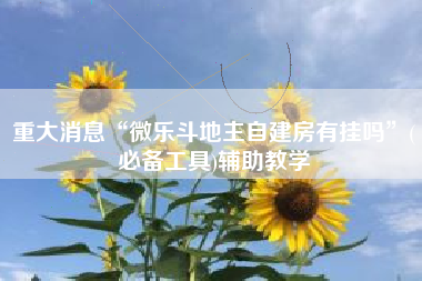 重大消息“微乐斗地主自建房有挂吗”(必备工具)辅助教学