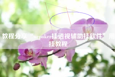教程分享“wepoker挂透视辅助挂软件”用挂教程