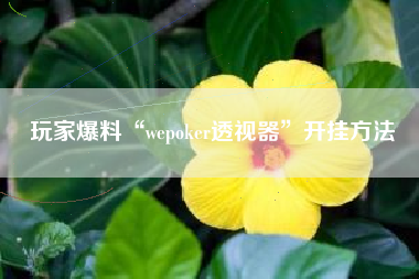 玩家爆料“wepoker透视器”开挂方法