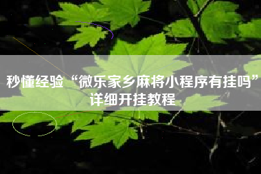 秒懂经验“微乐家乡麻将小程序有挂吗	”详细开挂教程