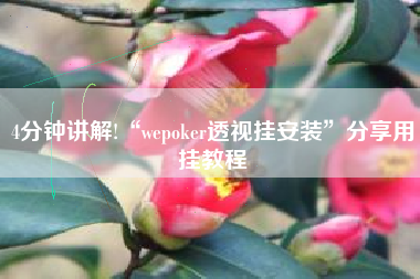 4分钟讲解!“wepoker透视挂安装	”分享用挂教程