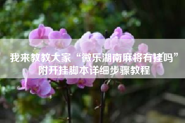 我来教教大家“微乐湖南麻将有挂吗	”附开挂脚本详细步骤教程