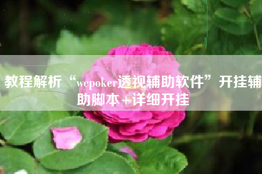 教程解析“wepoker透视辅助软件	”开挂辅助脚本+详细开挂