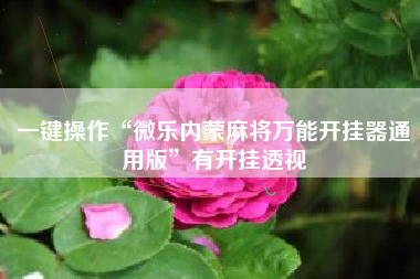 一键操作“微乐内蒙麻将万能开挂器通用版”有开挂透视