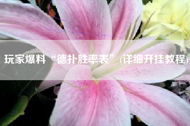 玩家爆料“德扑胜率表”(详细开挂教程)