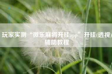 玩家实测“微乐麻将开挂app	”开挂(透视)辅助教程