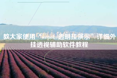 教大家使用“wepoke透明挂演示”详细外挂透视辅助软件教程