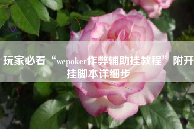 玩家必看“wepoker作弊辅助挂教程”附开挂脚本详细步