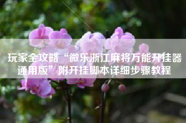 玩家全攻略“微乐浙江麻将万能开挂器通用版	”附开挂脚本详细步骤教程