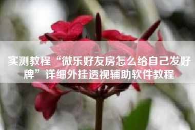 实测教程“微乐好友房怎么给自己发好牌”详细外挂透视辅助软件教程