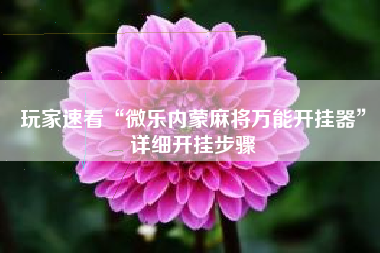 玩家速看“微乐内蒙麻将万能开挂器”详细开挂步骤