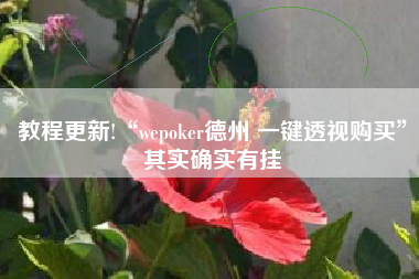 教程更新!“wepoker德州 一键透视购买	”其实确实有挂